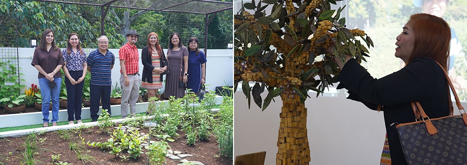 The visitors tour the SEARCA Sky Garden and the SEARCA Hub for Agriculture and Rural Innovation for the Next Generation ([url=https://www.searca.org/sharing]SHARING[/url]) AgriMuseum.