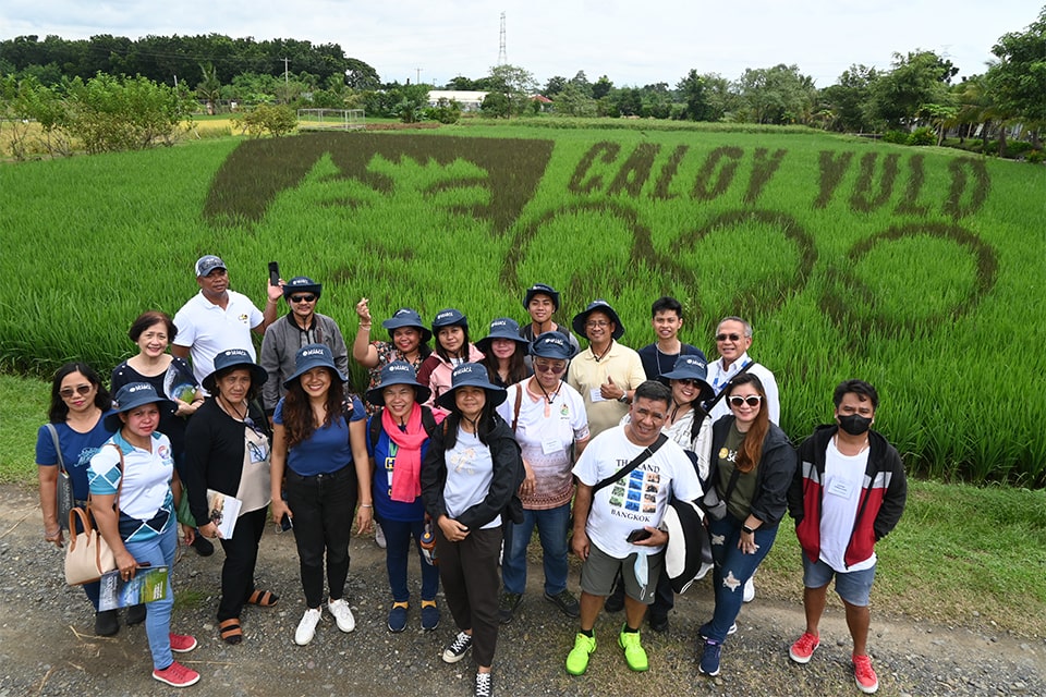 SEARCA capacitates Oriental Mindoro public servants on agribiotechnology
