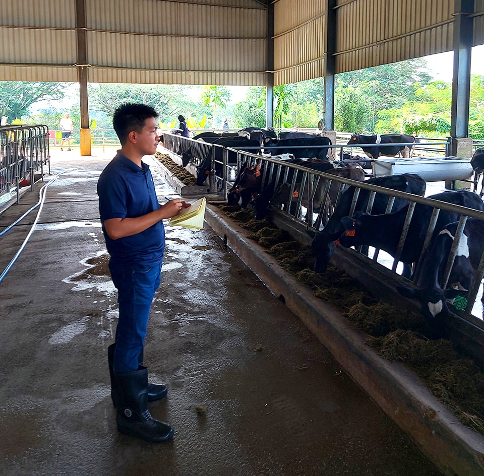 Dr. Reproto observes and documents stereotypic behaviors in calves, such as tongue rolling, bar biting, and non-nutritive oral manipulation.
