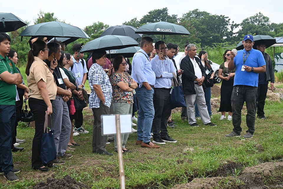 Bayer, SEARCA, and PPSA push for policy support to scale direct-seeded rice in PH