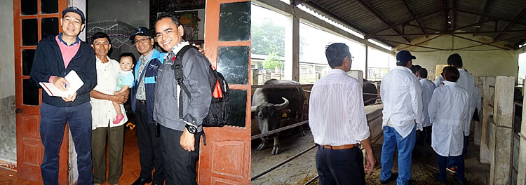 (L-R): PCC officials visit a farmer&rsquo;s home in a village in Thai Nguyen Province to get acquainted with his livestock management system. Later during the day, they visited the Buffalo Research Station, which is under the supervision of the Northern Mountainous Livestock Research and Development Center of the National Institute of Animal Husbandry.