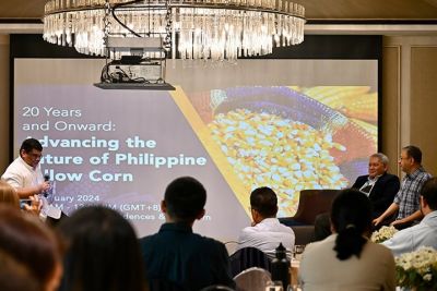 SEARCA and Bayer Crop Science hold forum on 20th year of Bt corn in the Philippines