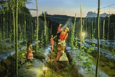 SEARCA participates in IFAD and FAO's first Multi-Actor Global Exchange Meeting; highlights contributions of evidence-based research to the development of the Modular Training Program on Public Policy Cycles for Family Farming