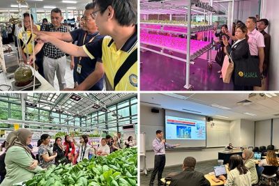 52 Filipino educators join cross-visits to Singaporean, Indonesian institutions
