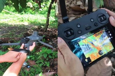 Satellites, sensors, and drones power alert system for cacao health
