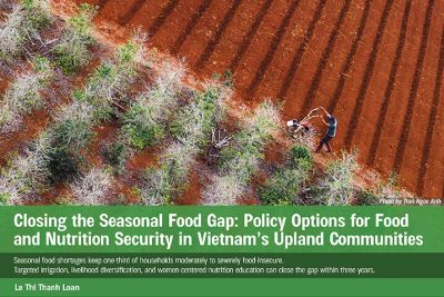 SEARCA policy brief tackles seasonal hunger in Vietnam's upland communities