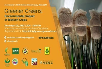 A Greener Solution: Experts Discuss Environmental Impact of Biotech Crops