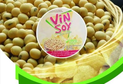 Soya chips produced by a group in Camarines Norte, Philippines helps prevent malnutrition while showing high investment potential, says a SEARCA and DA-BAR study